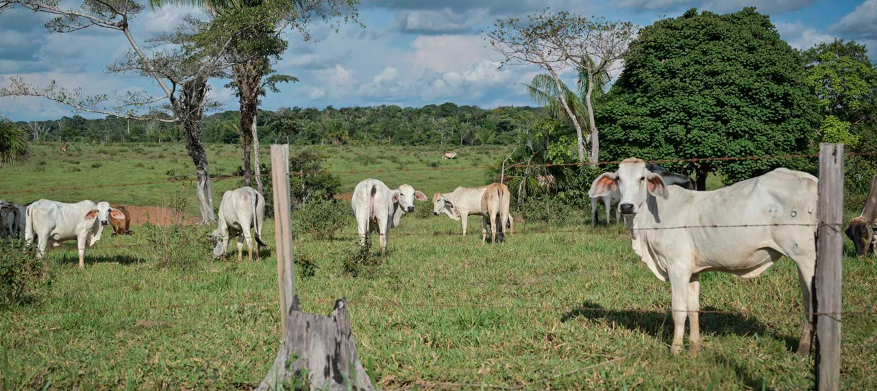 Un pleito judicial que se originó en una pregunta sencilla
