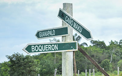 ​​Los “papayeros” que invadieron el resguardo Nukak Makú