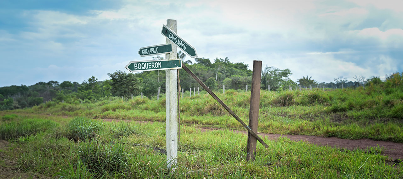 ​​Los “papayeros” que invadieron el resguardo Nukak Makú
