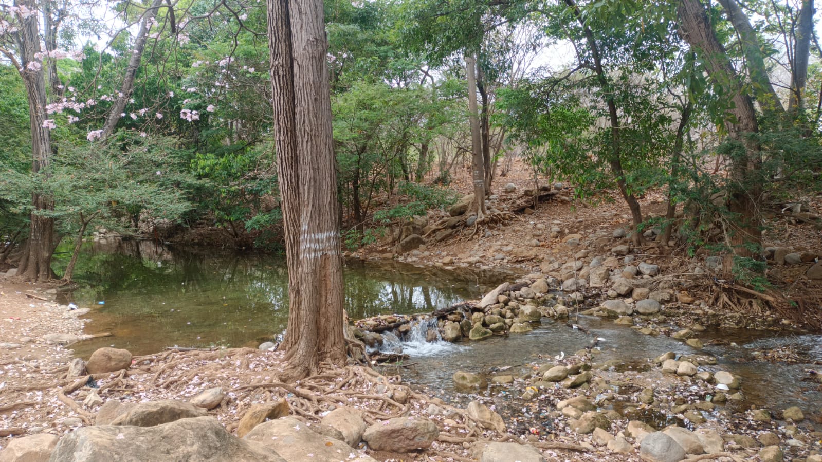 WhatsApp Image 2025 04 10 at 10.52.41 AM