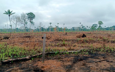La vía Calamar Miraflores, una cicatriz en la selva amazónica colombiana