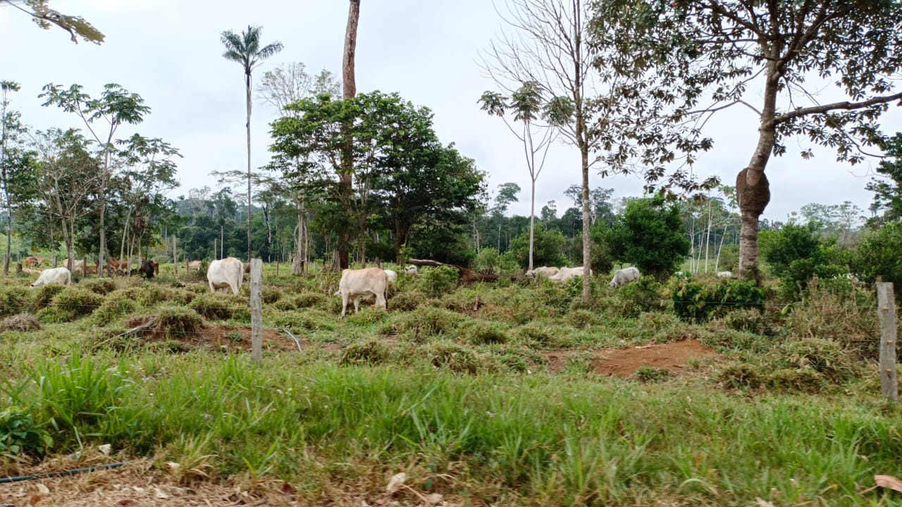 WhatsApp Image 2025 02 25 at 11.16.02 AM