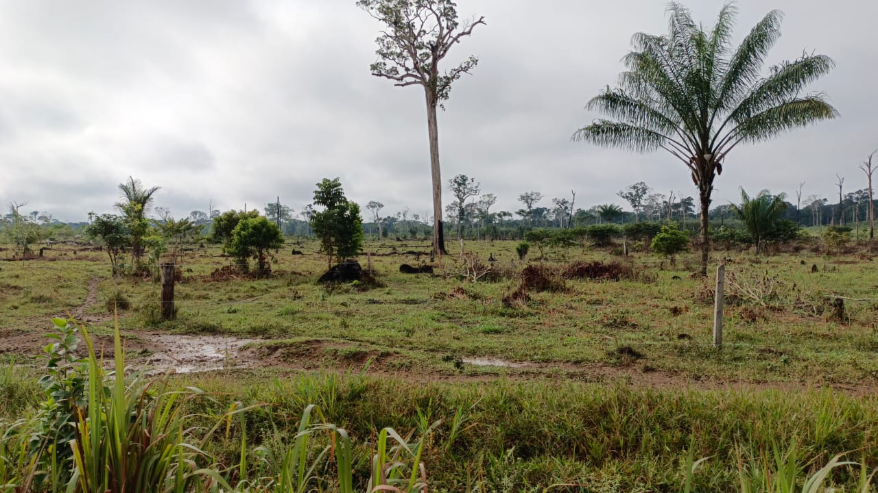 WhatsApp Image 2025 02 25 at 11.16.02 AM 1