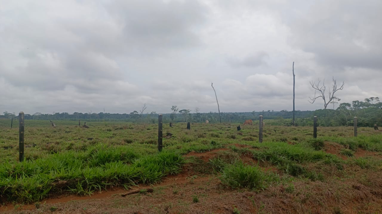 WhatsApp Image 2025 02 25 at 11.16.11 AM